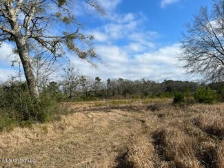 Tba Old Mobile Hwy, Lucedale, MS 39452