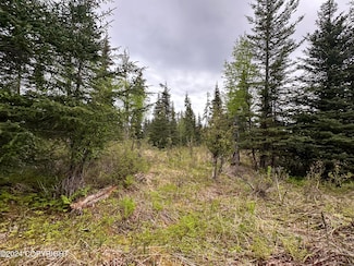 L4 Brillo Rd, Anchor Point, AK