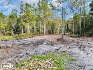 Hwy 701, Elizabethtown, NC 28337