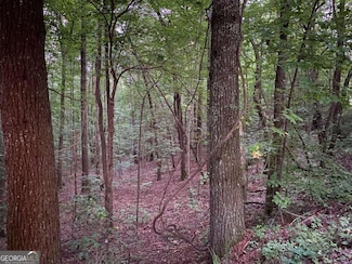 0 Whitecliff Dr Unit 10371196, Ellijay, GA 30540