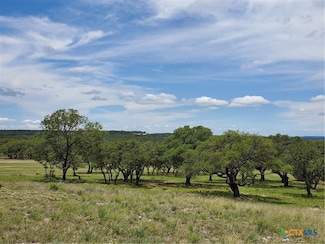 974 Blackbuck Ridge Dr, Lampasas, TX 76550