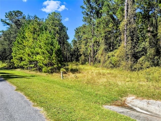 0 NW 148th Ln Unit MFROM711194, Williston, FL 32696