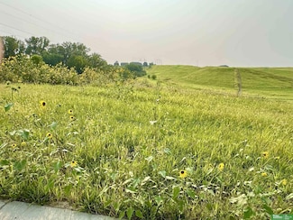 12318 S 226th St, Melia-Forest City Precinct, NE 68028