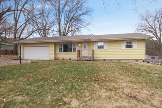 1393 Oakleaf Dr, Saint Anne, IL 60964