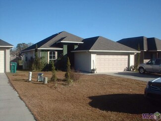 13529 Lily Ave, Walker, LA 70785