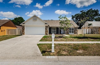 929 Sunridge Point Dr, Seffner, FL 33584