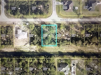 640 Raintree St E, Lehigh Acres, FL 33974
