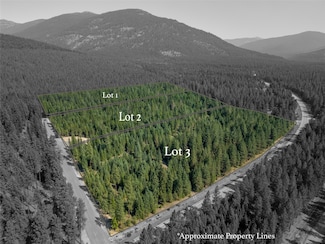 70 Hines Rd, Yaak, MT 59935