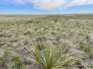 15755 Cr 166, Kiowa, CO 80117