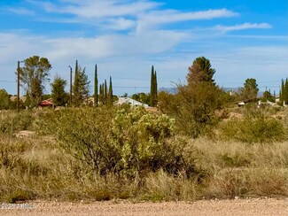TBD International Ave 4 24 Acres --, Douglas, AZ 85607