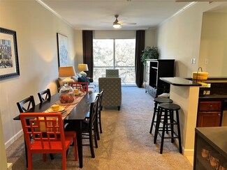 4515 Briar Hollow Place Unit 303, Houston, TX 77027