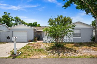10116 Enchanted Oaks Ct, Tampa, FL 33615