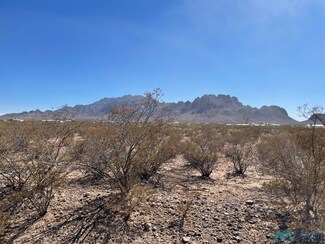 XXXX Desert Willow Rd SE, Deming, NM 88030