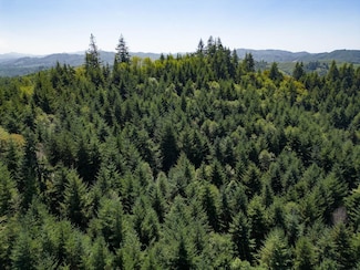 92433 Ward Creek Ln, Myrtle Point, OR 97458
