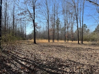 0 Lagoshen Dr, Moscow, TN 38057