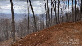 Lot 6 Andrew Banks Rd, Burnsville, NC 28714
