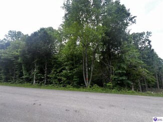 0 Watershed Rd, Caneyville, KY 42721