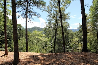 Lot 5J Eagle Fork Trail, Hayesville, NC 28904