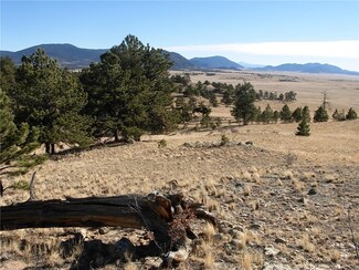 32 Sequoia Rd, Hartsel, CO 80449