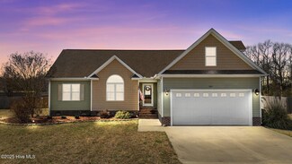 207 King James Way, Pikeville, NC 27863