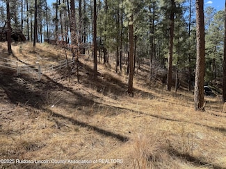 131 Brady Canyon Rd, Ruidoso, NM 88345