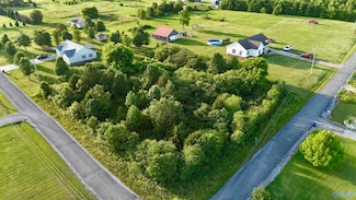.85 Acre County Road 441, Rainsville, AL 35986
