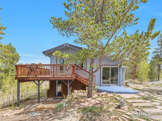 23 Wildwood Dr, Nederland, CO 80466