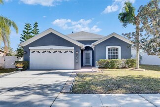 10322 Goldenbrook Way, Tampa, FL 33647