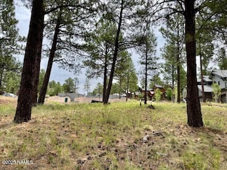 1892 E Hardscrabble Ct, Flagstaff, AZ 86001