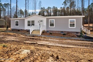 6145 Taylors Gin Rd, Castalia, NC 27816
