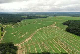 00 Griffin Rd, Vienna, GA 31092