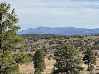 0 Garth Tract Unit 202501799, Los Ojos, NM 87551