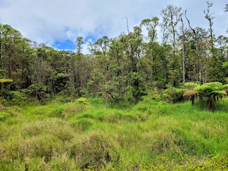 0 Road 7 Unit 722492, Volcano, HI 96785