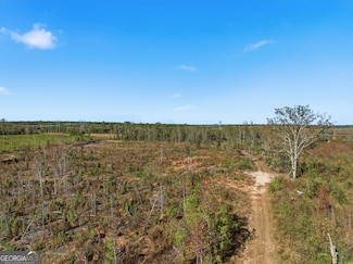 39.702 AC Heards Bridge Rd, Davisboro, GA 31018