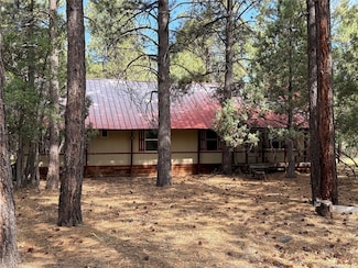 31 Mundy Dr, Chama, NM 87520