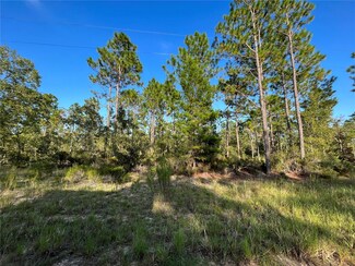 124 Levy Dr, Hawthorne, FL 32640