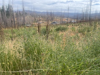5198 Mount Pleasant Dr, Grizzly Flats, CA 95636