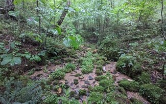 LT 19 Prospectors Pass, Ellijay, GA 30536