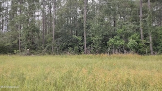 0 Mississippi 43 N, Picayune, MS 39466