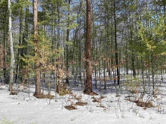 0 Old Stagecoach Rd Unit 47 4850722, Freedom, NH 03836