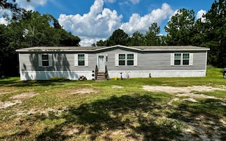 4164 160th Path, Wellborn, FL 32094