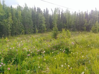 22320 W Susitna Pkwy, Big Lake, AK 99654
