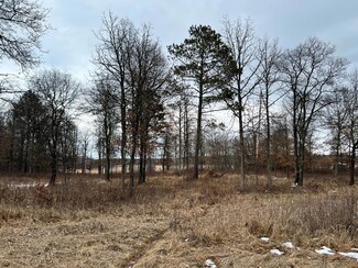 TBD Schroeder Rd NW, Grant Valley Township, MN 56601
