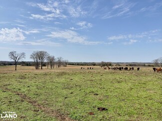 0 Co Rd 12, Faunsdale, AL 36738