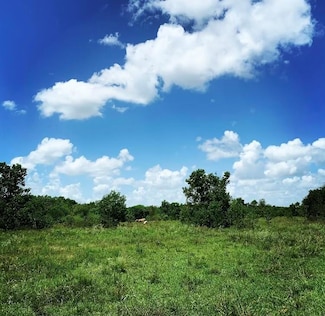 00000 Fm 1462 Rd, West Columbia, TX 77430