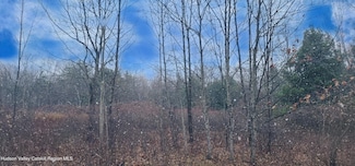 40 Bailey Rd, Jewett, NY 14224