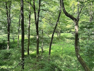 TBD Indian Fork, Parsons, WV 26287