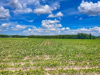 0 Highway 41 Unit LotWP001 14913177, Fork, SC 29543