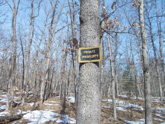 0 E Stark Rd, Free Soil Township, MI