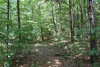 0 Elk Dr Unit 1508292, Dunlap, TN 37327